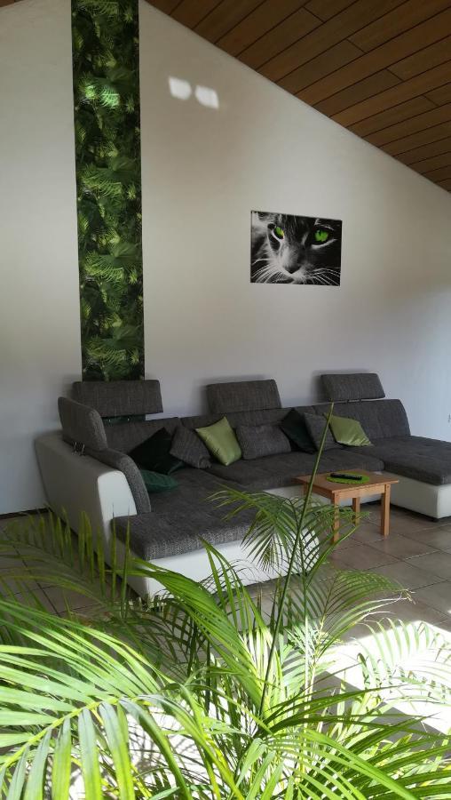 Ferienwohnung Froehlich Dorfprozelten Exterior foto